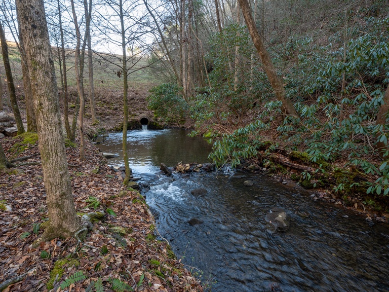706 On The Creek